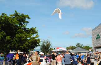 dove release fund raiser