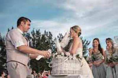 anna maria island dove release