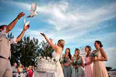 anna maria island dove release