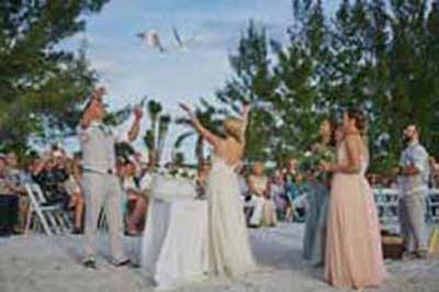 anna maria island dove release