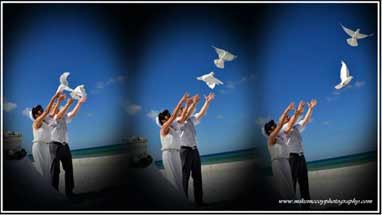 sarasota dove release wedding