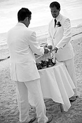 sarasota dove release LGBT wedding