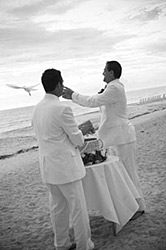 LGBT sarasota dove release LGBT wedding