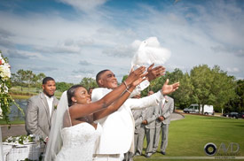 sarasota dove release wedding