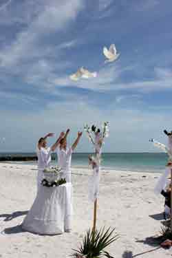 sarasota dove release LGBT wedding 