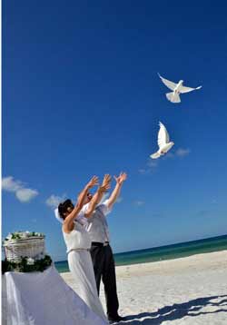 sarasota dove release wedding